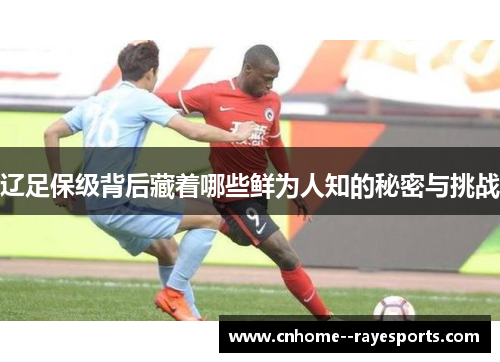 辽足保级背后藏着哪些鲜为人知的秘密与挑战