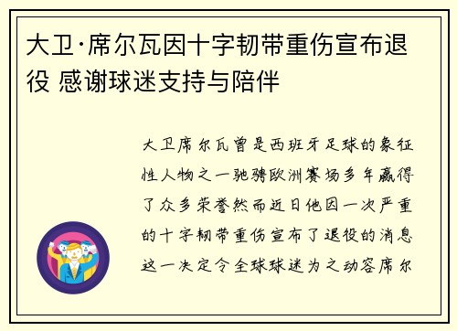 大卫·席尔瓦因十字韧带重伤宣布退役 感谢球迷支持与陪伴 大卫·席尔瓦因十字韧带重伤宣布退役 感谢球迷支持与陪伴